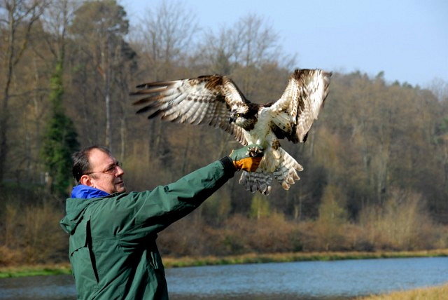 https://www.gorna.fr/wp-content/uploads/2011/11/DSC_0337-640x4801.jpg