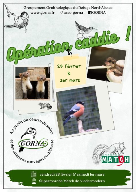 Affiche opération caddie_page-0001 (1) Affiche opération caddie_page-0001 (1)