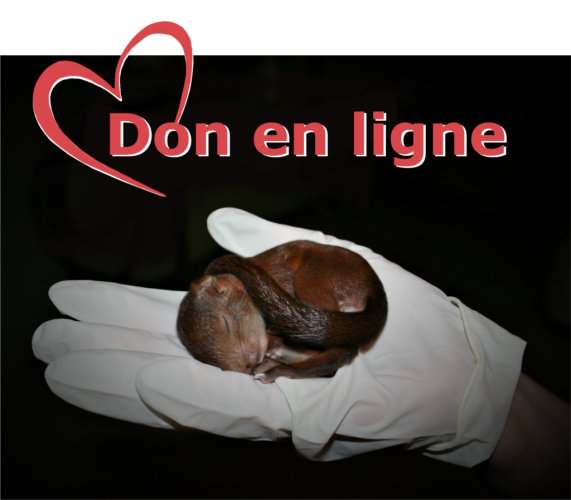 donenlignecoeurdebordant-1024x897