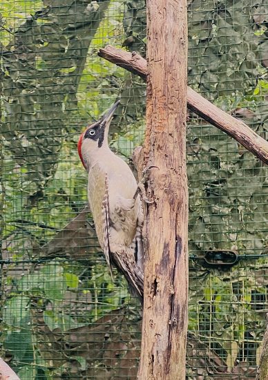 image_123650291 (7)